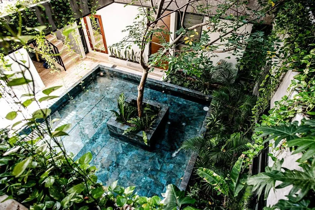 Apartment Ocean View Studio, Rooftop Pool, Steps From Beach Hyatt Playa del Carmen